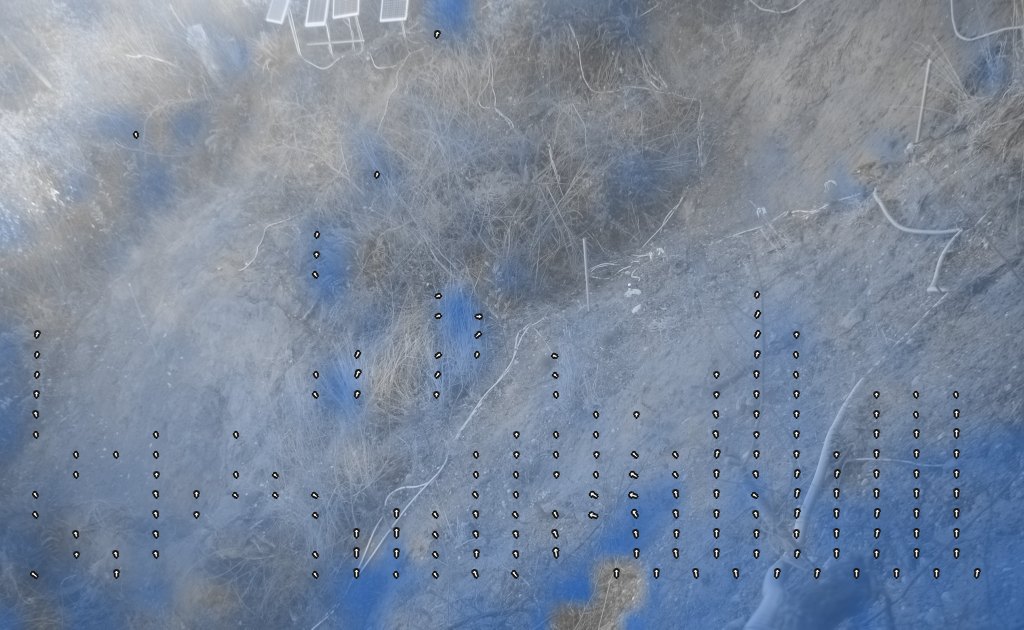 The Mukilteo bluff on 20 November 2015, a quiet day: almost no blue tint and few arrows